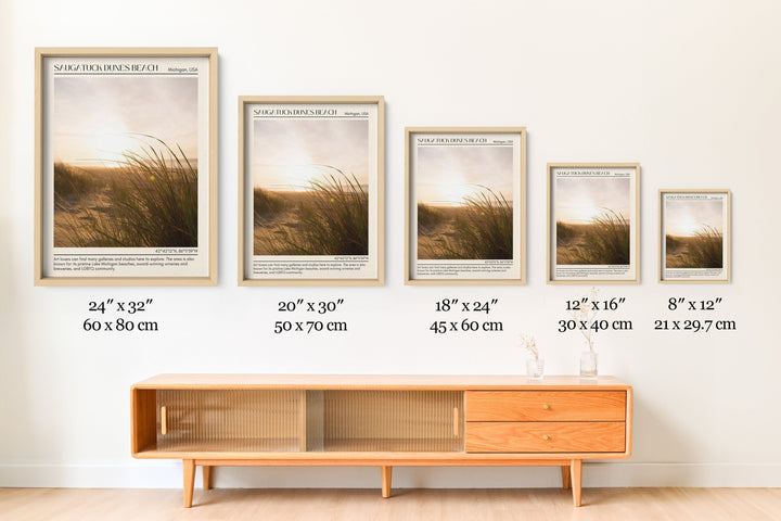 Saugatuck Dunes Beach Wall Canvas, USA