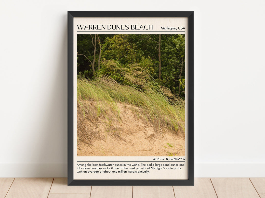 Warren Dunes Beach Wall Canvas, USA