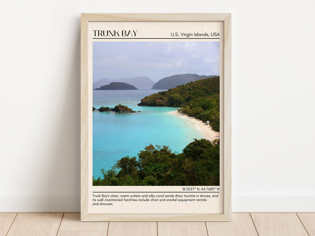 Trunk Bay Wall Canvas, USA