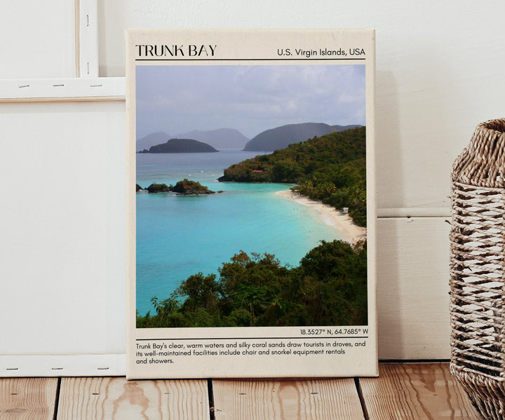 Trunk Bay Wall Canvas, USA