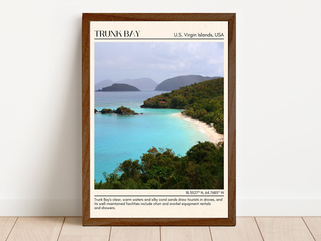 Trunk Bay Wall Canvas, USA