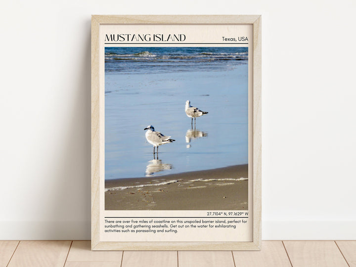 Mustang Island Wall Canvas, USA