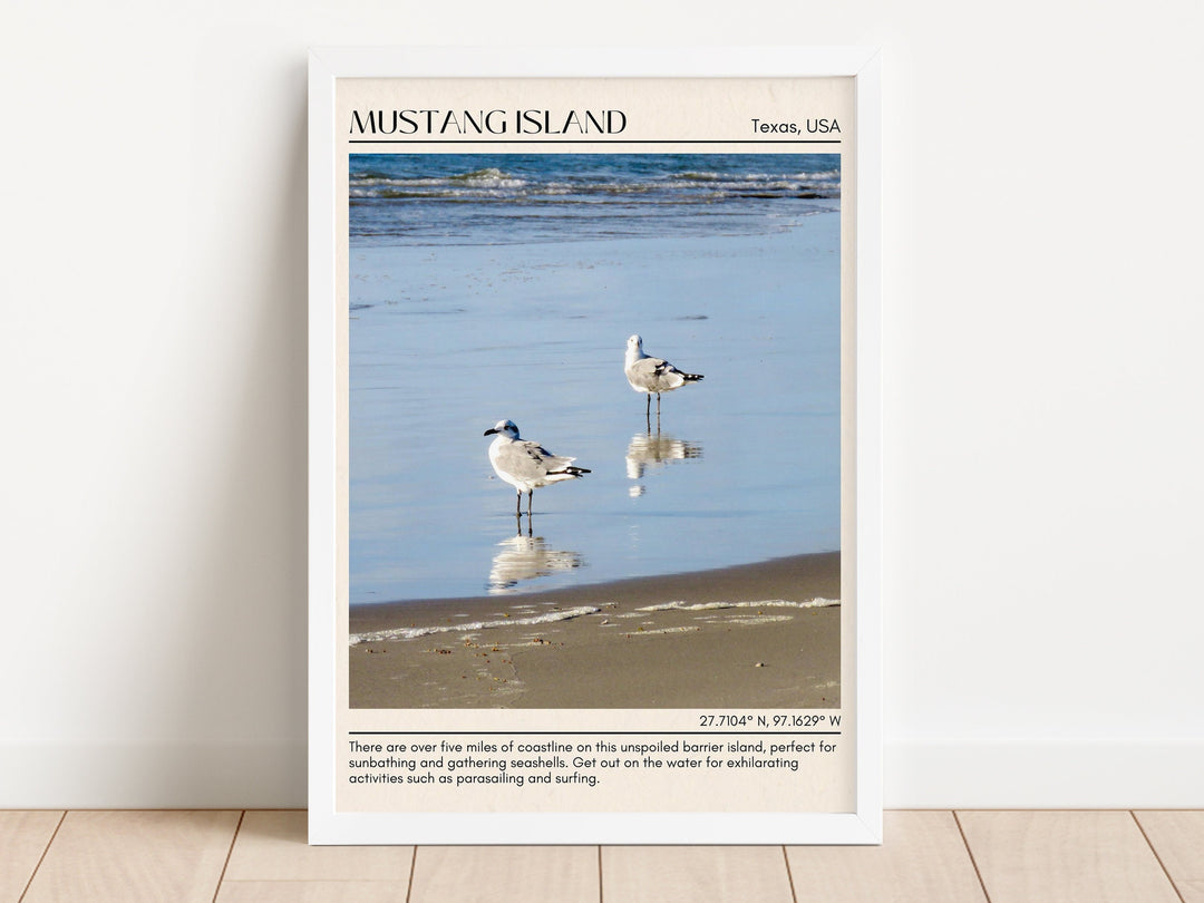 Mustang Island Wall Canvas, USA