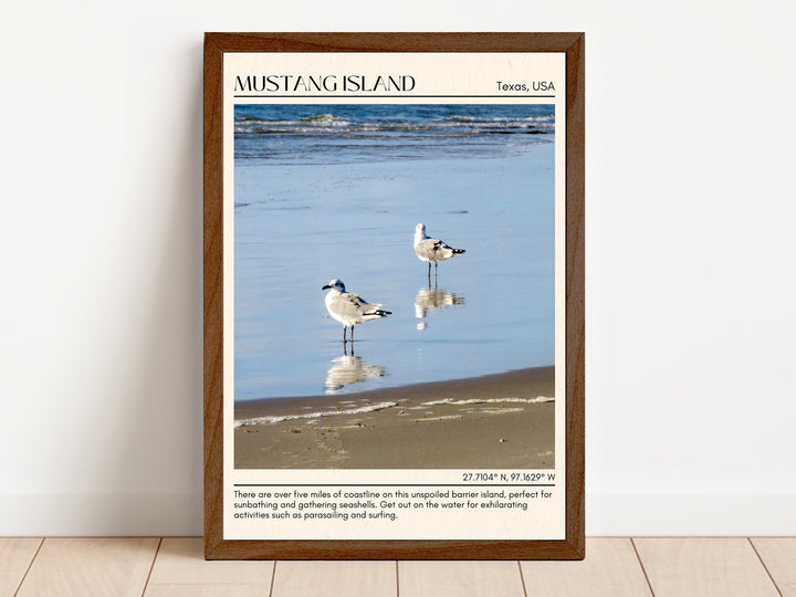 Mustang Island Wall Canvas, USA