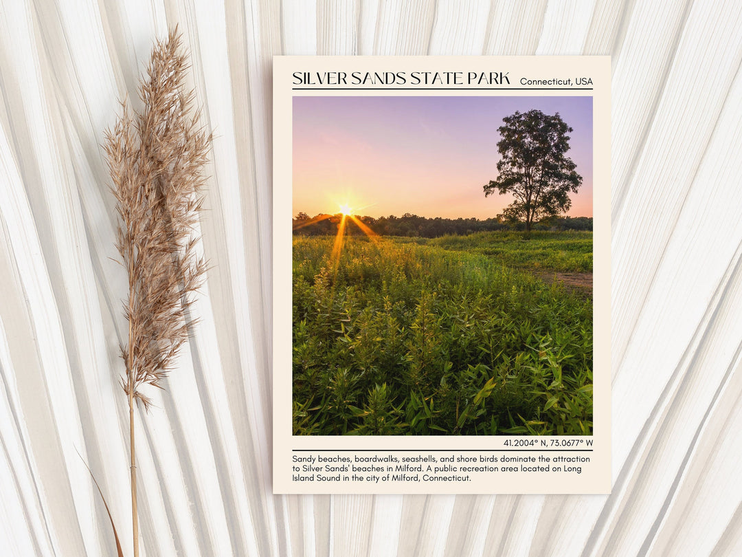 Silver Sand State Park Wall Art Canvas, USA