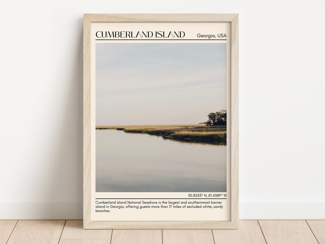 Cumberland Island Wall Canvas, USA