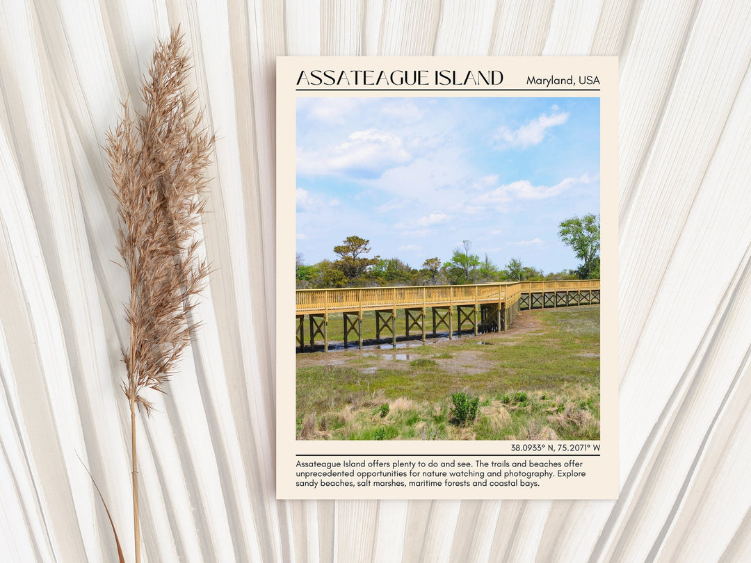 Assateague Island Beach Wall Canvas, USA