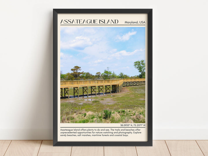 Assateague Island Beach Wall Canvas, USA