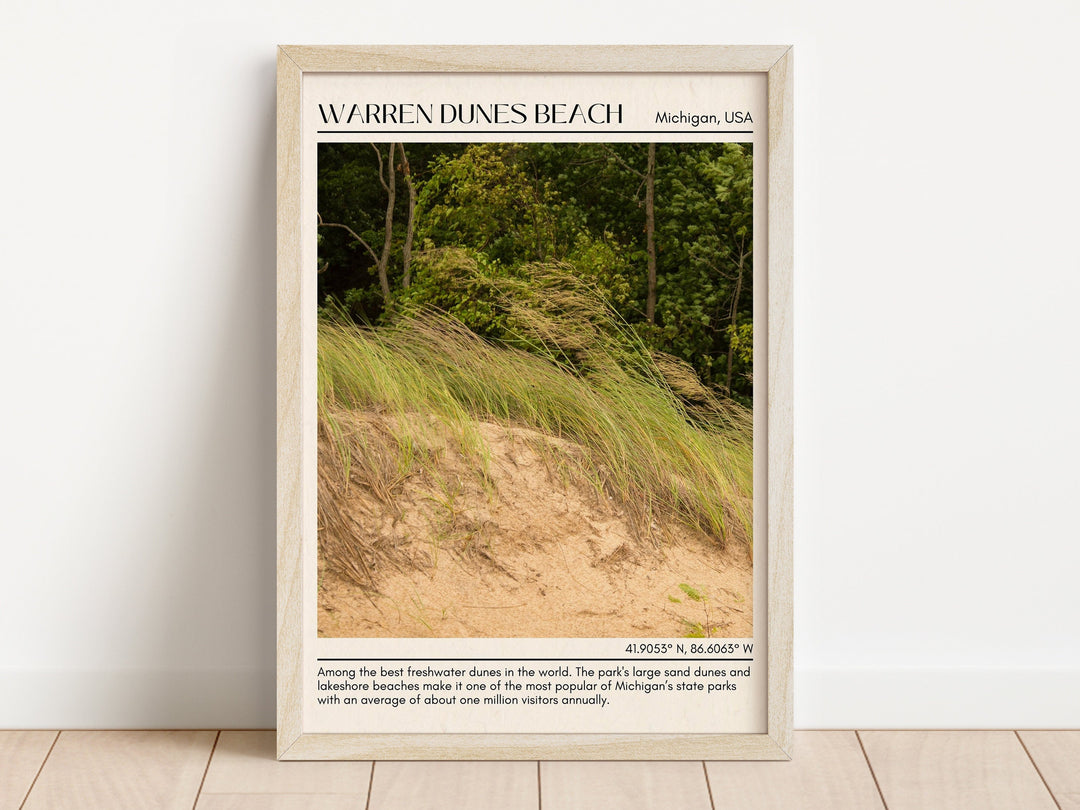 Warren Dunes Beach Wall Canvas, USA