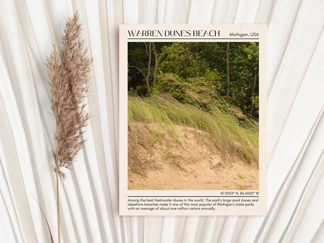 Warren Dunes Beach Wall Canvas, USA