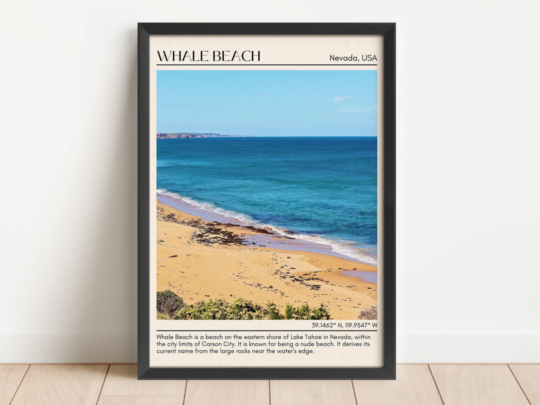 Whale Beach Wall Canvas, USA