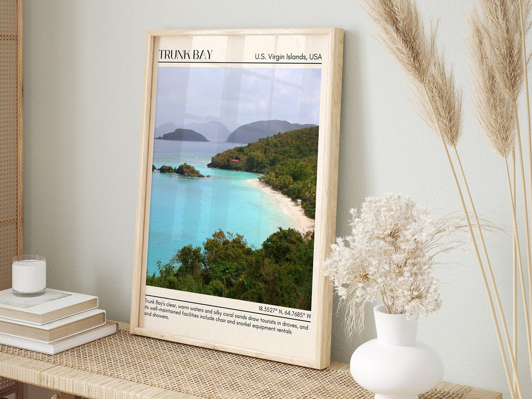 Trunk Bay Wall Canvas, USA