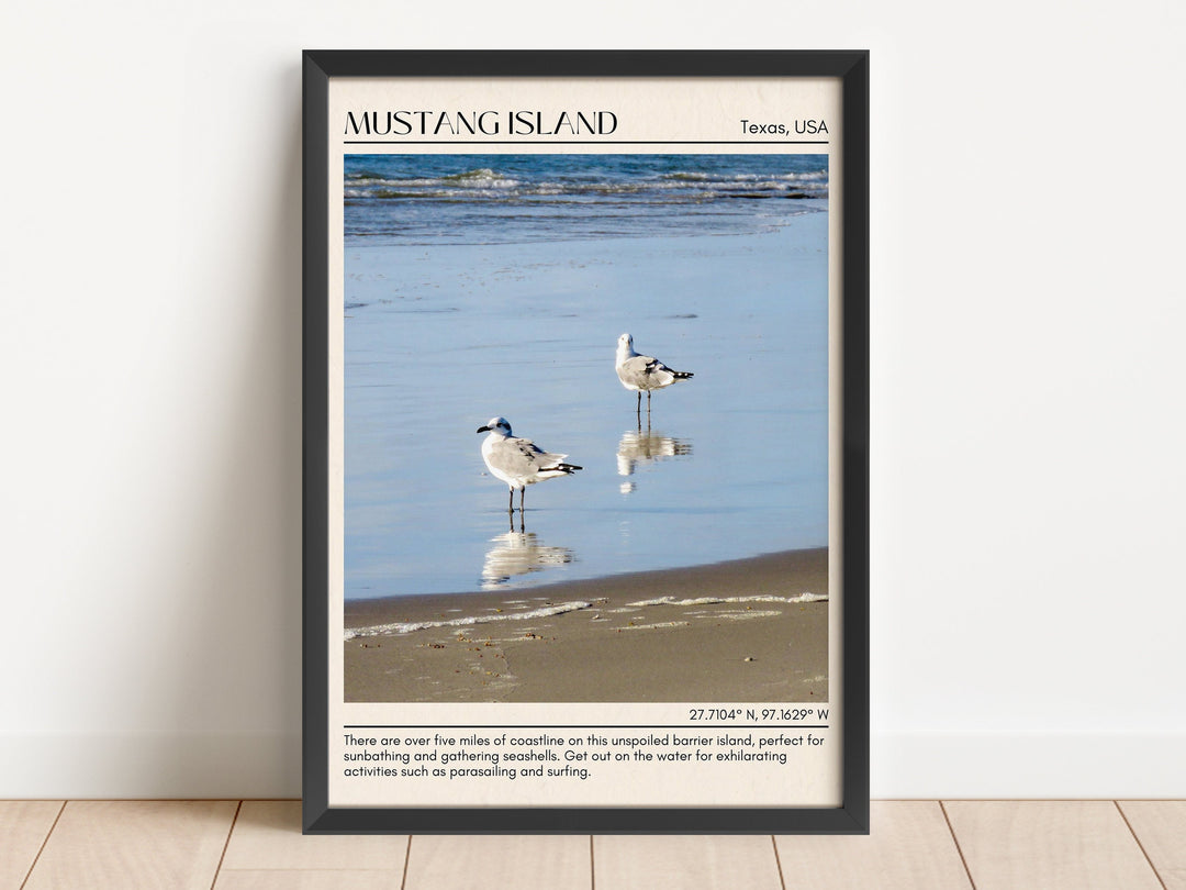 Mustang Island Wall Canvas, USA